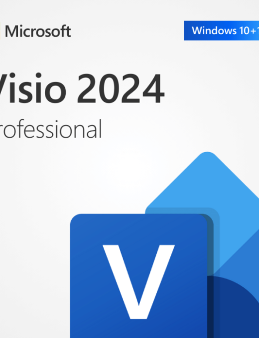 Microsoft Visio Professional